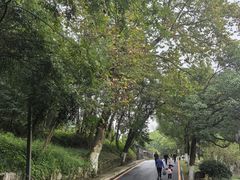 -花溪公园
