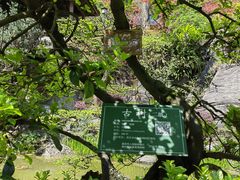 -南山植物园