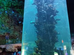 -青岛嘉年华主题乐园