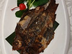 -新侨小馆(东直门北小街店)