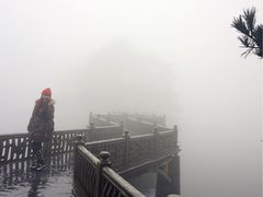 -庐山风景区花径公园