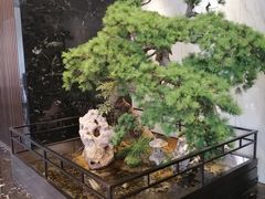 -龙船人海鲜城(长治路店)