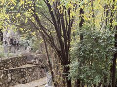 -西安市纺织公园