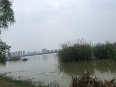 -艾溪湖湿地公园