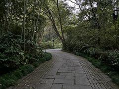 -法云安缦酒店