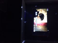 唛客疯量版式KTV(金飞达广场店)-唛客疯量贩式KTV(金飞达广场店)