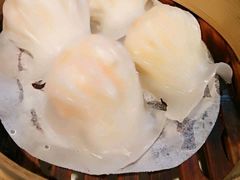 -高第街56号餐厅(银座商城玉函店)