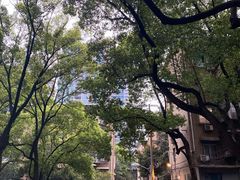 -嘁嘁茶泡饭