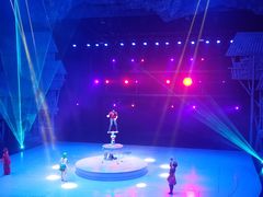 -重庆国际马戏城
