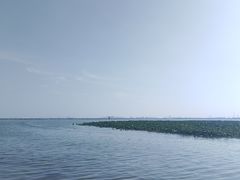 -莲花岛景区