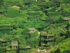 -枸杞岛