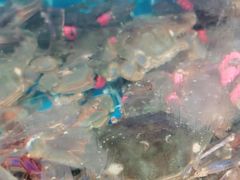 -宾朋海鲜美食特色餐厅·纯手工鲅鱼水饺(兴海路店)