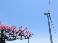 -龙里油画大草原旅游区