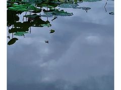 -泰州站