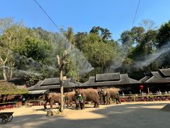 -野象谷景区