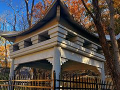 -白水寺森林公园