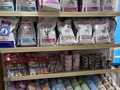 -A猫a狗全科·犬猫异宠·芥西宠物医院(南开总院)