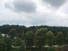 -铁山坪森林公园