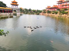 -蓬莱仙岛