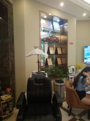 -碧莲盛·不剃发植发