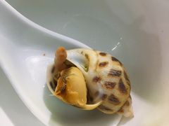 -吉品莞家·鲍鱼鸡煲(东莞店)