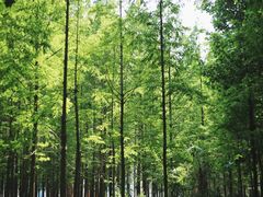 -河南省黄河迎宾馆