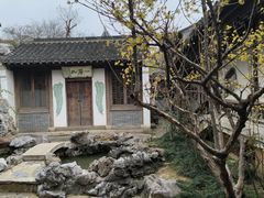 -芥子园