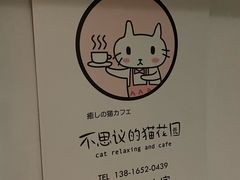 -猫猫幼稚园·撸猫·桌游·电玩
