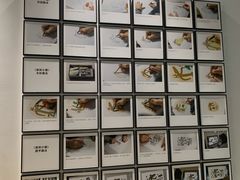 -正佳自然科学博物馆