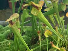 -国家植物园南园