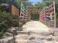 -北京西山国家森林公园