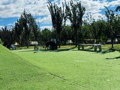 -爪吧宠物乐园 (温榆河示范区店)