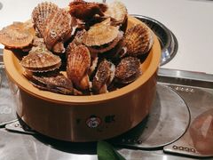 -龍歌自助小火锅(市南金茂湾店)