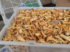 -山菌美食苑(振兴路店)