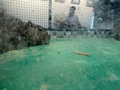 -上海大自然野生昆虫馆(东方明珠·爬宠昆虫探索中心)