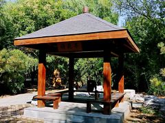 -大兴滨河森林公园