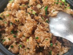 鹅肉饭-大岭山烧鹅基
