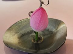 -墨宴(西洋湖店)