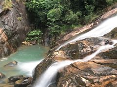 -广州白江湖森林公园