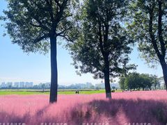 -汉长安城未央宫国家考古遗址公园