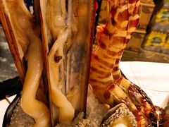 -鲜入围煮花胶鸡海鲜火锅