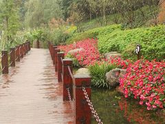 -重庆彩云湖湿地公园