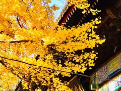 -红螺寺