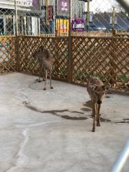 -萌宠亲子动物乐园(槐房万达店)