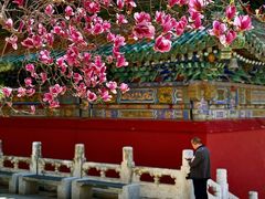 -潭柘寺景区