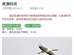 -深圳野生动物园