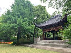 -汇龙潭