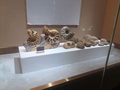 -抱璞文化展示中心