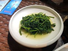 蒜泥空心菜-金稼园·金平湖农家菜