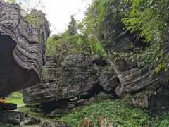 -梭布垭石林景区